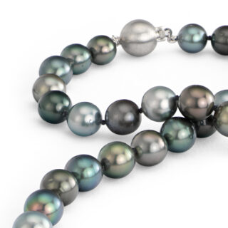 Multi-Color Tahitian Cultured Pearl Necklace in 18k White Gold (8.0-10.5mm)
